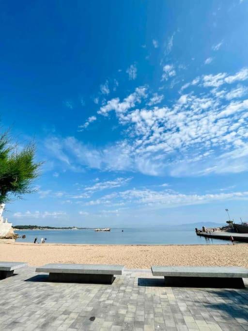 Appartement Cosy Bord De Mer L' Escala エクステリア 写真